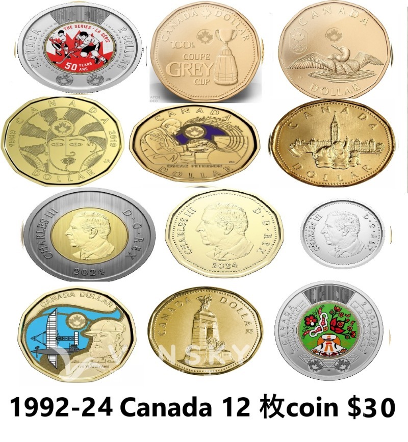 250110094954_25-cents-2011-bison-green6 pc.jpg